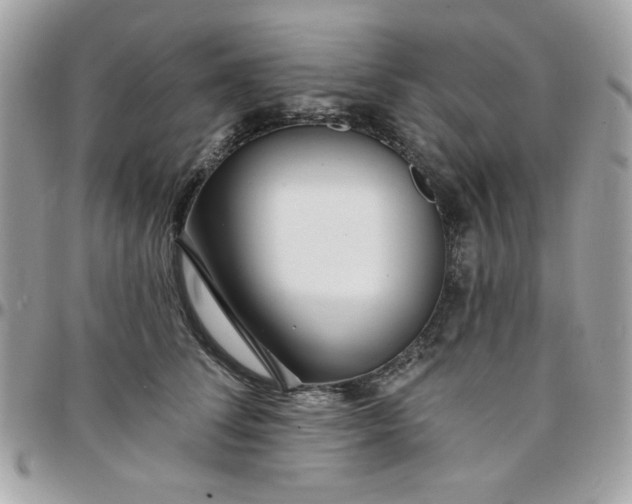 X0000097770708200803211737