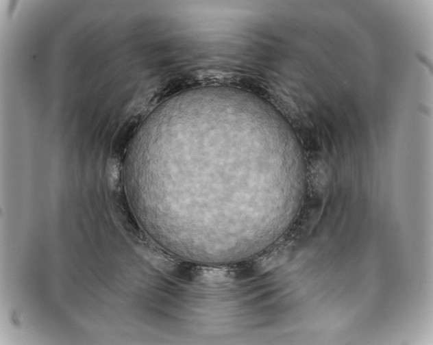 X0000097770709200803211737