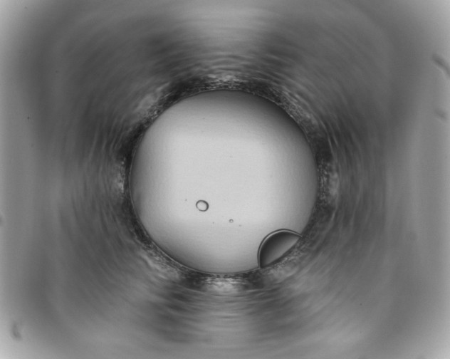 X0000097770710200803211737