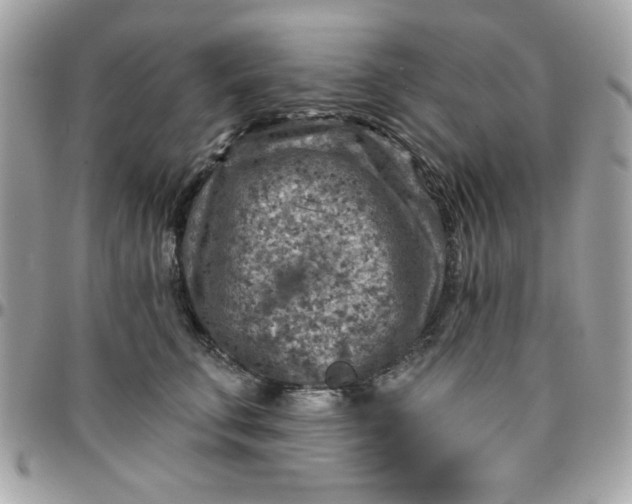 X0000097770711200803211737