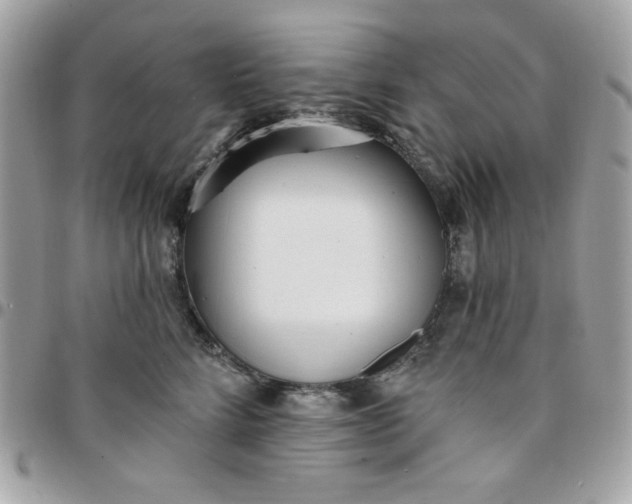 X0000097770712200803211737