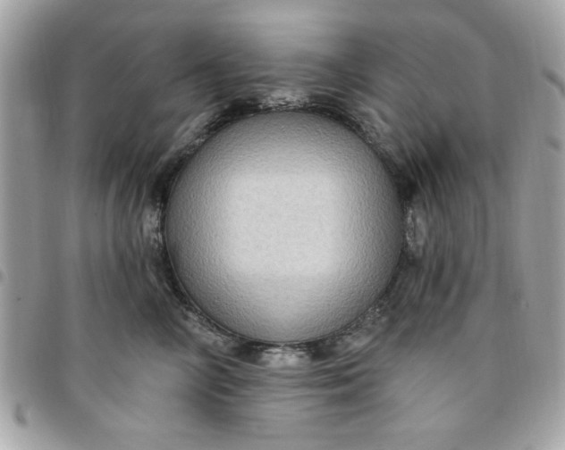 X0000097770714200803211737