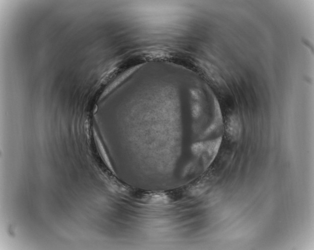 X0000097770715200803211736