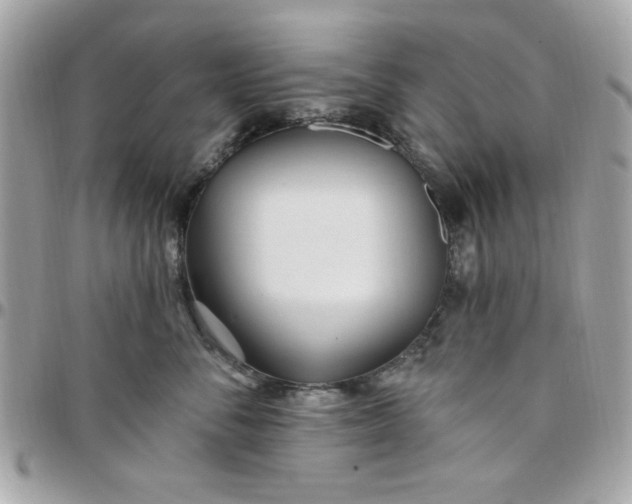 X0000097770716200803211736