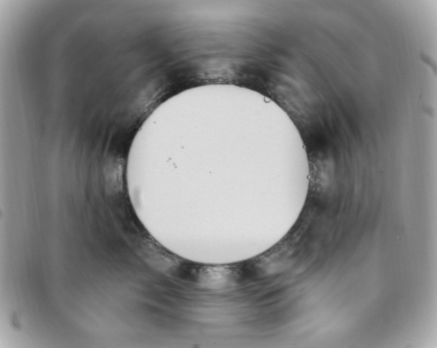 X0000097770717200803211736