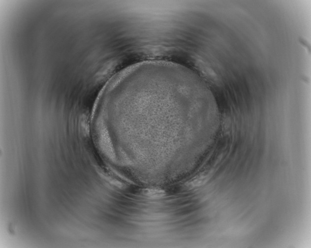 X0000097770719200803211736