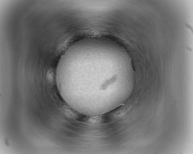 X0000097770720200803211736