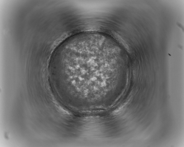 X0000097770721200803211736