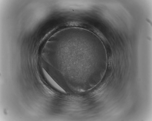 X0000097770722200803211736