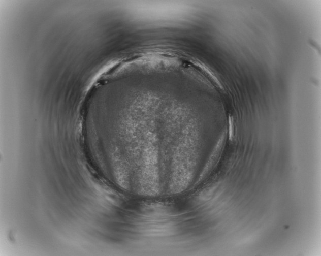 X0000097770723200803211736