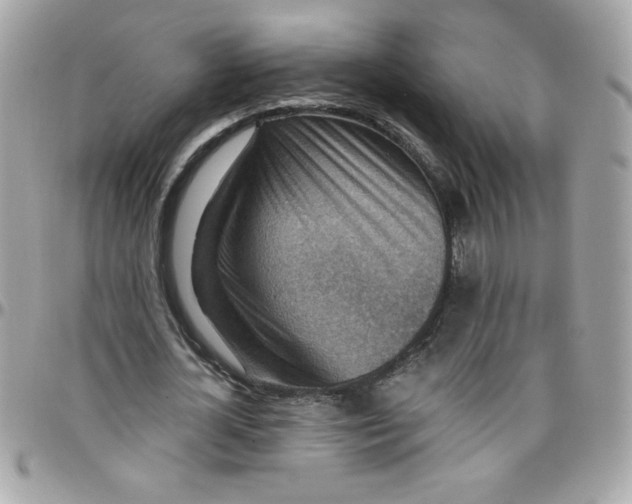 X0000097770724200803211736