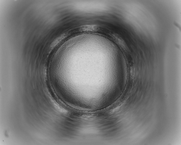 X0000097770725200803211736