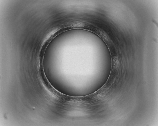 X0000097770726200803211736