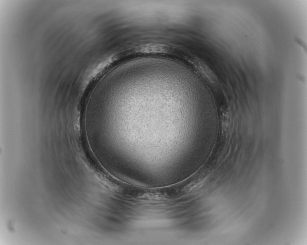 X0000097770727200803211736