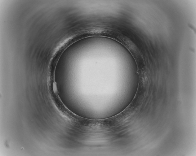 X0000097770728200803211736