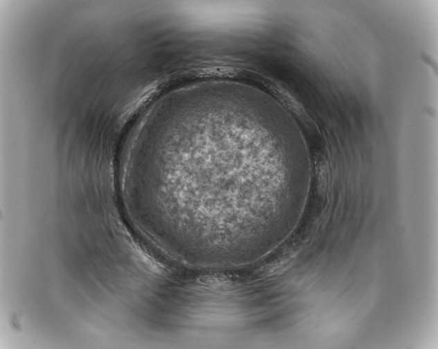 X0000097770729200803211736