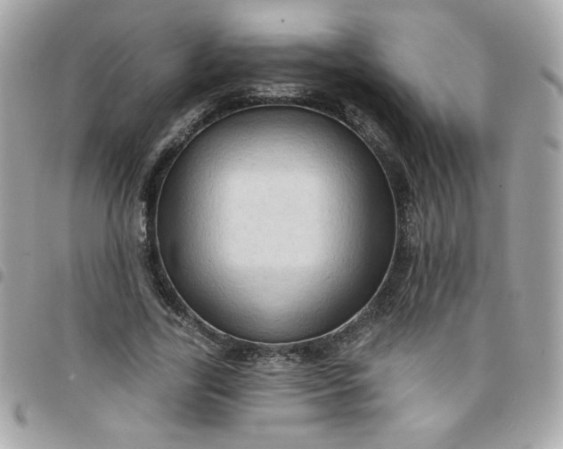 X0000097770731200803211736