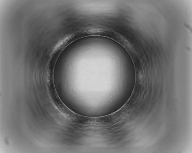 X0000097770732200803211736