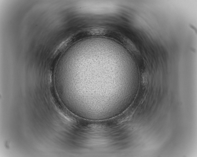 X0000097770733200803211736