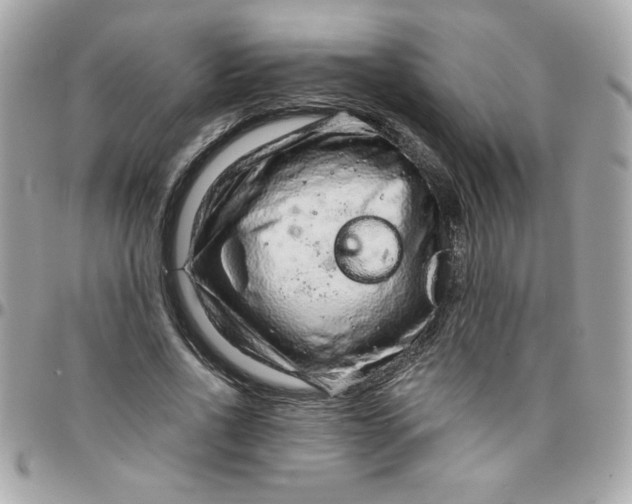 X0000097770734200803211736