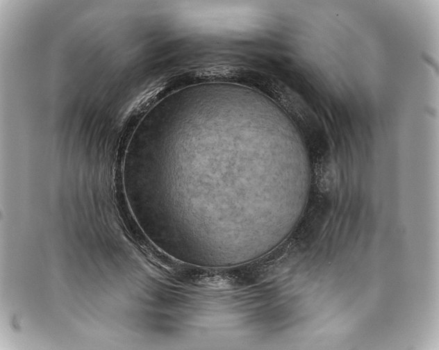 X0000097770735200803211736