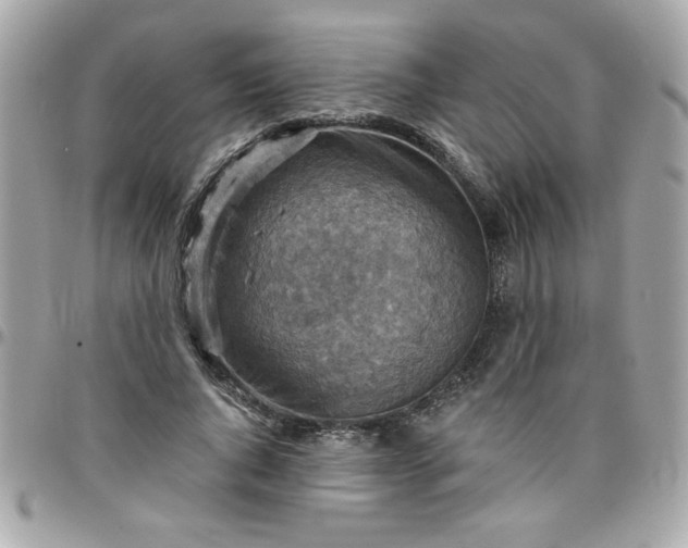 X0000097770736200803211736