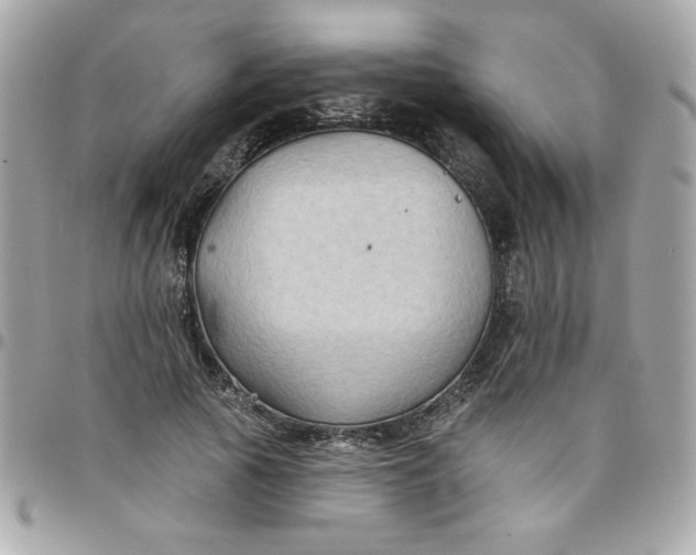 X0000097770737200803211736