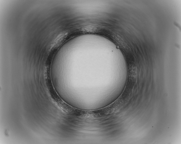 X0000097770738200803211736