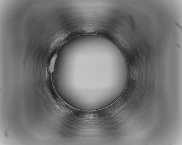 X0000097770740200803211736