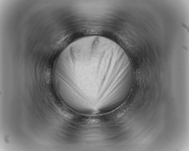 X0000097770741200803211736