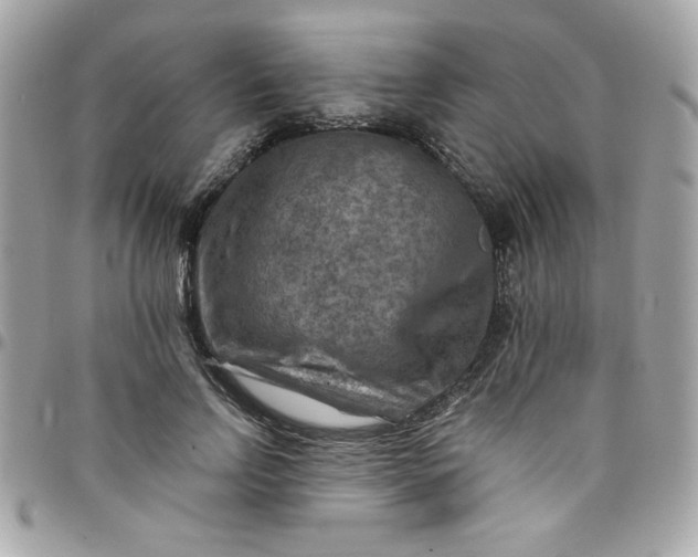 X0000097770742200803211736