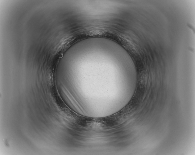 X0000097770743200803211736