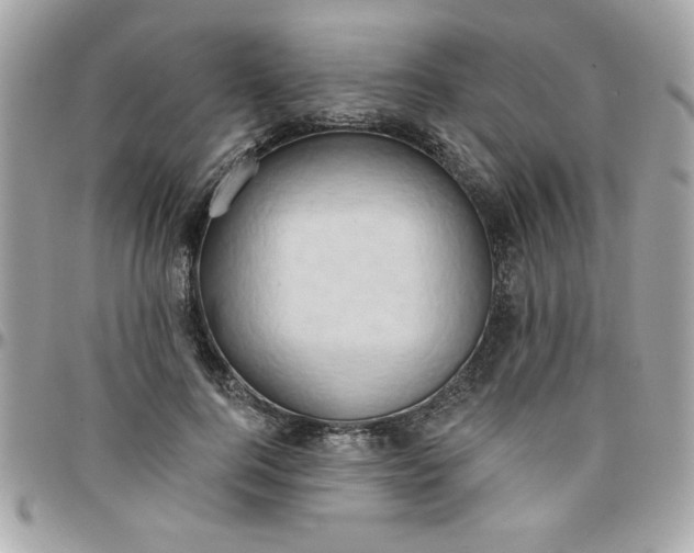 X0000097770744200803211736