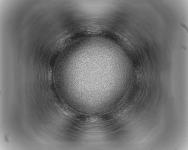 X0000097770745200803211736