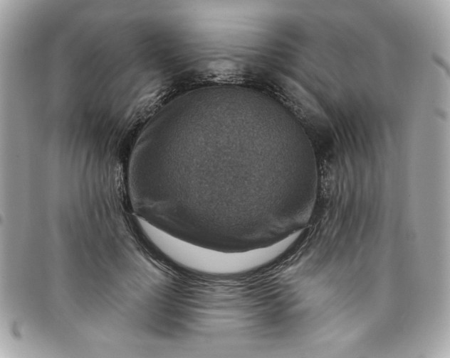 X0000097770748200803211736