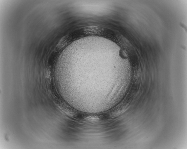 X0000097770749200803211736