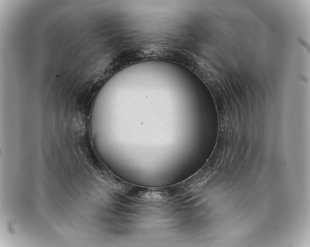 X0000097770751200803211736