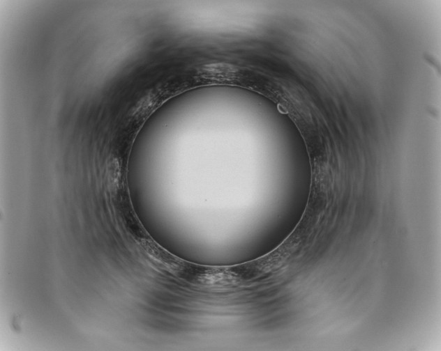 X0000097770752200803211736