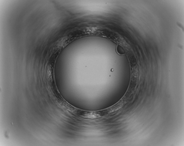 X0000097770754200803211736