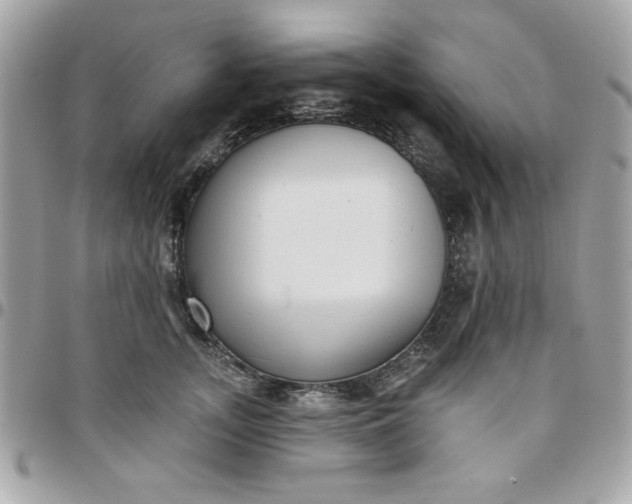 X0000097770755200803211736