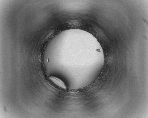 X0000097770756200803211736