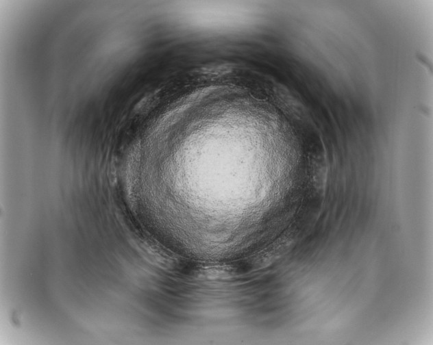 X0000097770758200803211736