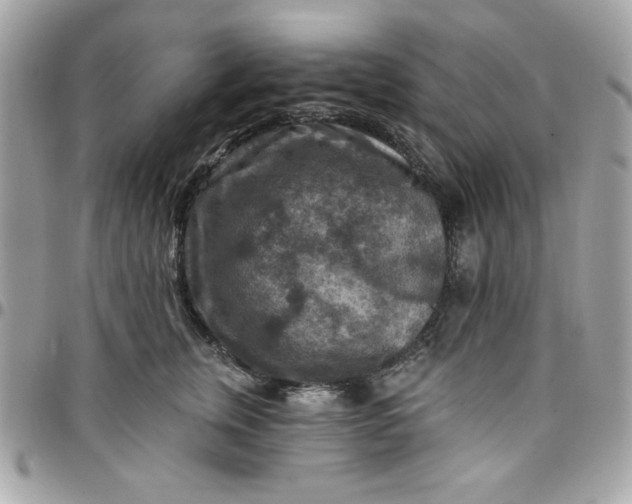 X0000097770759200803211736