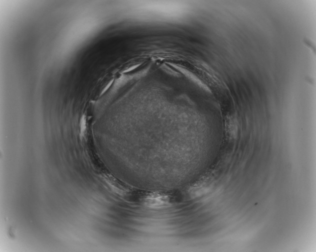 X0000097770760200803211736