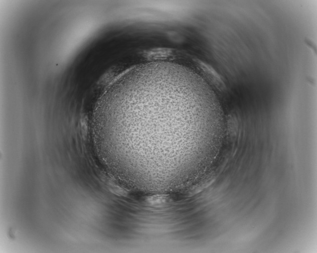 X0000097770761200803211736