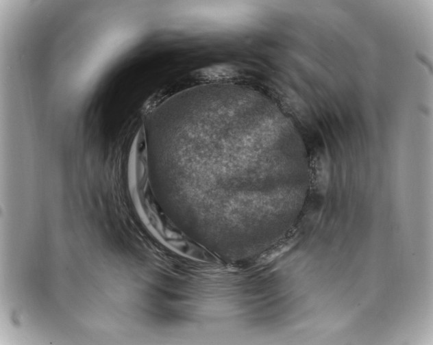 X0000097770762200803211736