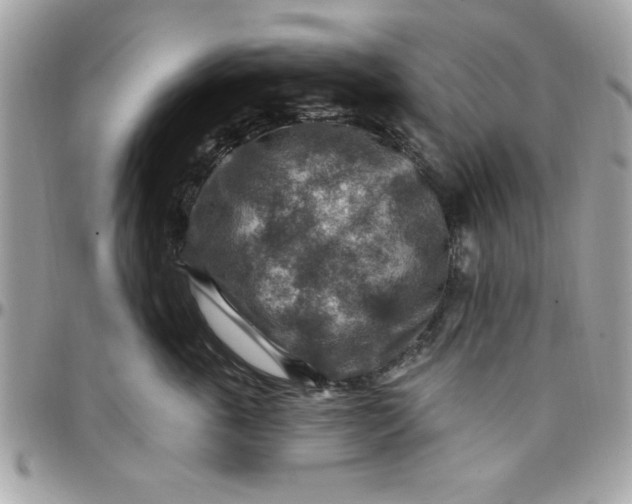 X0000097770763200803211736