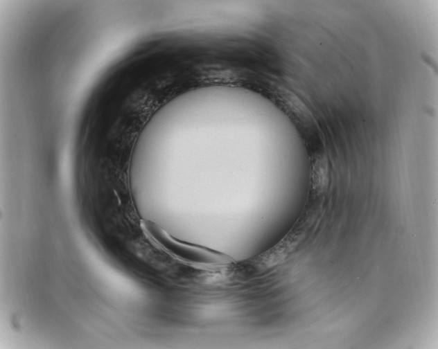 X0000097770764200803211736