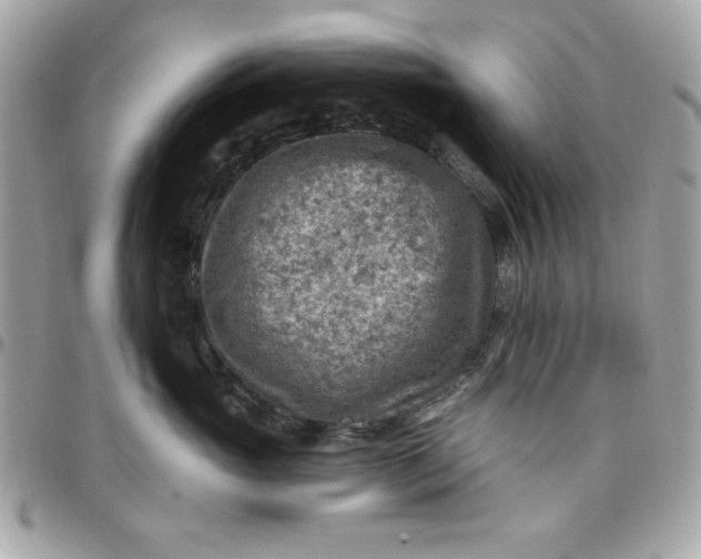 X0000097770765200803211736