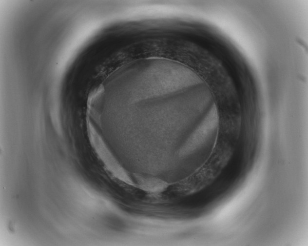 X0000097770766200803211736